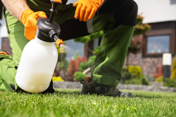 Best Flea Control Services  in Shelby, MT
