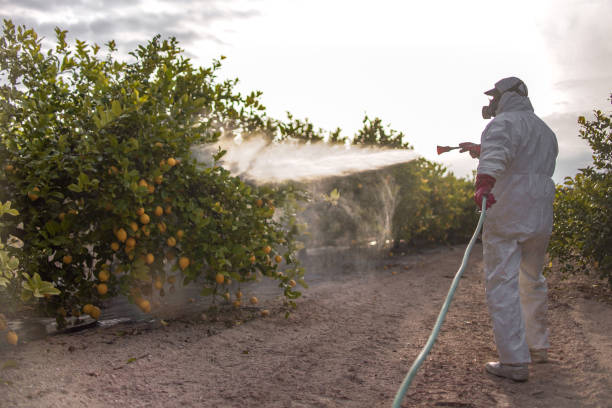 Best Pest Prevention Services  in Shelby, MT