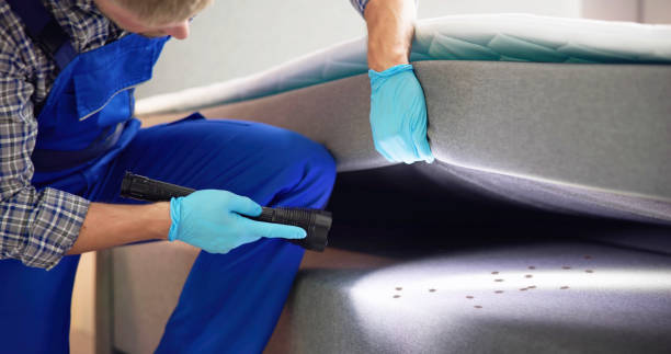 Trusted Shelby, MT Pest Control Experts