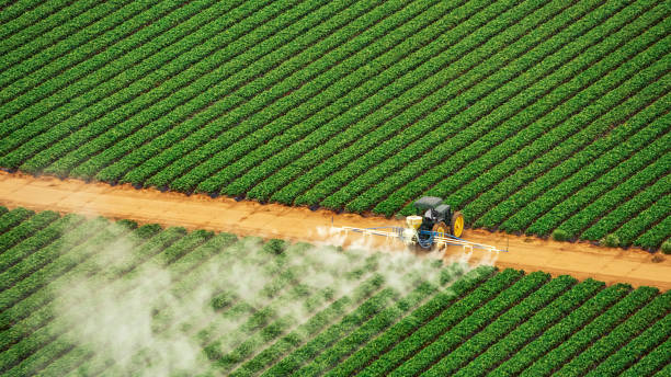 Best Termite Control Services  in Shelby, MT