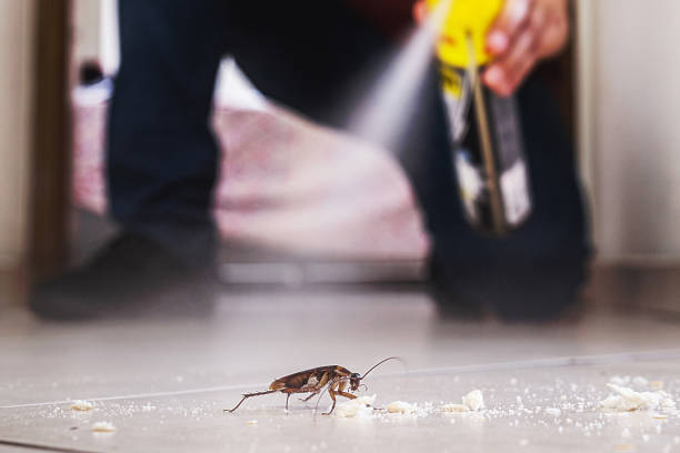 Best Cockroach Control Services  in Shelby, MT